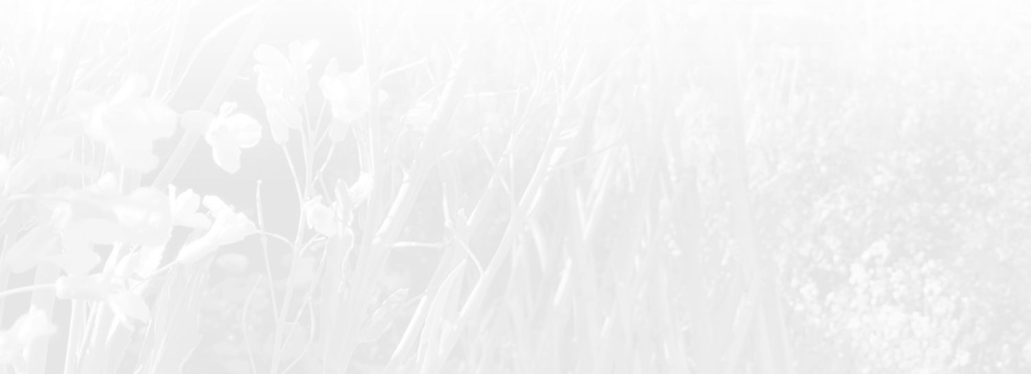 background image footer